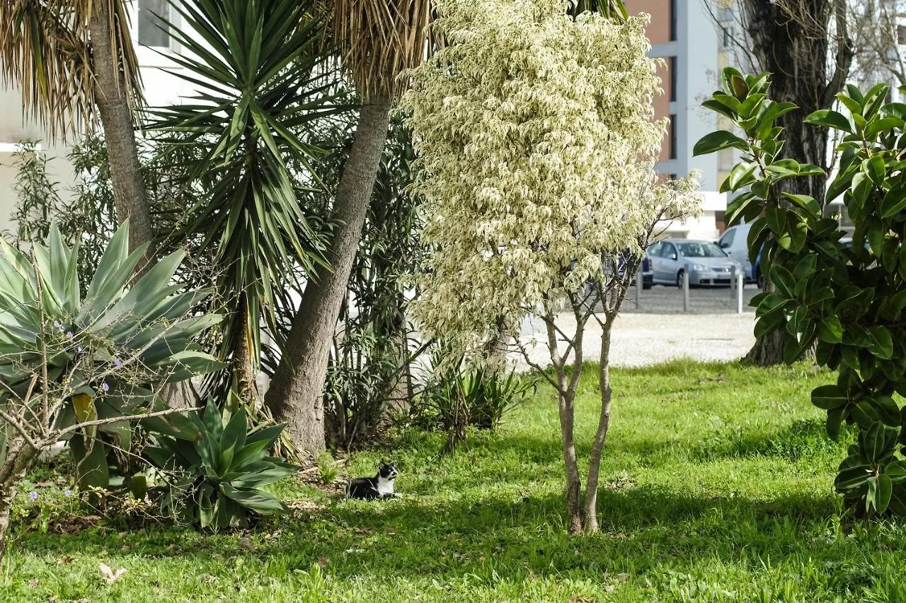 Olive Grove Apartment By Trip2Portugal Lisbon